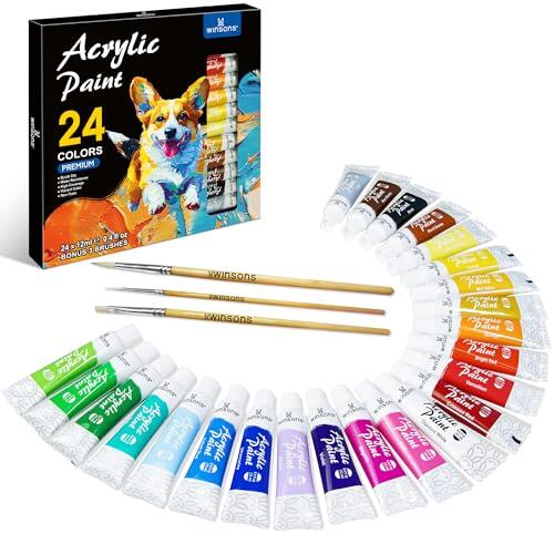 Explorando la Versatilidad de las Pinturas Acrílicas WINSONS