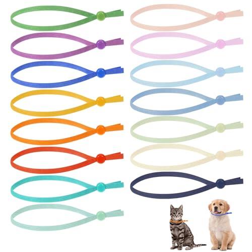 Guía Esencial para la Identificación Segura de Cachorros y Gatitos Recién Nacidos