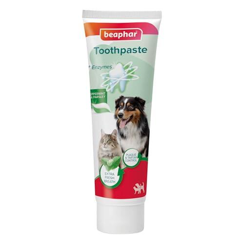Guía definitiva para la higiene dental de perros y gatos