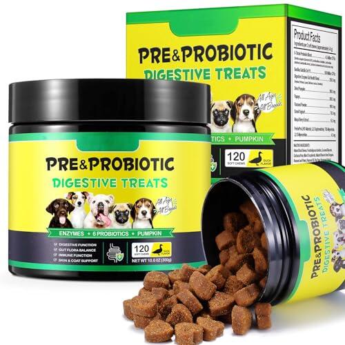 Guía Completa sobre Probióticos y Enzimas Digestivas para la Salud Canina