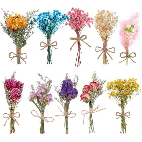 PORFOYO 10 Paquetes de Mini Ramo de Flores Secas Naturales, Flores Secas Pequeñas, Ramo Flore Seca para Manualidades y Decoración del Hogar