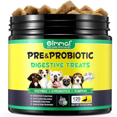 Guía Completa sobre Probióticos Caninos: Salud Digestiva y Bienestar General