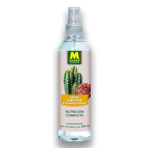 Guía Definitiva para el Cuidado y Nutrición de Cactus y Crasas con Abono Foliar