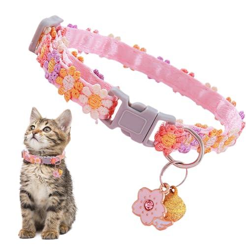 Guía Definitiva para Elegir el Collar Ideal para tu Gato