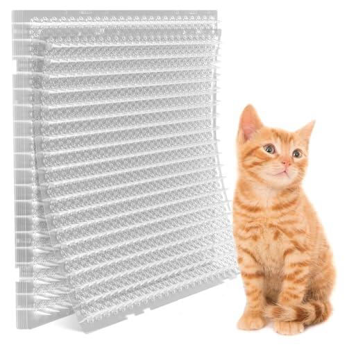 Colrid Rejilla Antigatos 42x34cm, Disuasorio PP Reciclado(10, Transparente) | Material PP reciclado, antideslizante. Ideal para jardín, balcón, macetas. Protege tus plantas de gatos. 42x34 cm, duradero