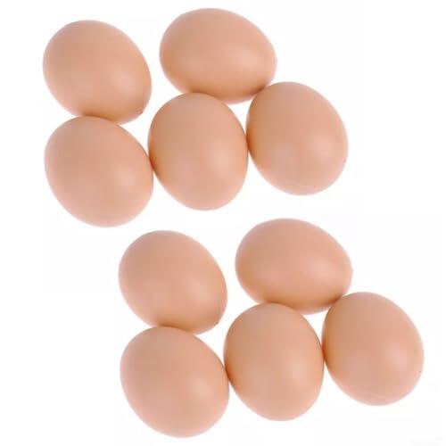 Guía práctica para el uso de huevos de plástico en la gestión avícola