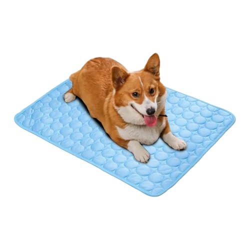 Cómo mantener a tu mascota fresca y cómoda durante los meses de verano