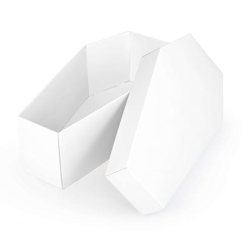 FOLDZILLA Ataúd de cartón para perros, gatos y animales pequeños, 46 x 24 x 16 cm, ataúd de cartón para despedida pietätvollen - blanco para pintar/pegar