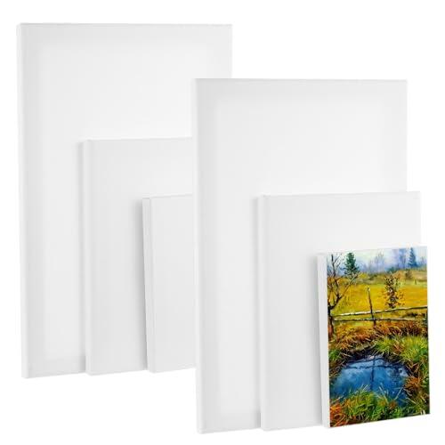 Juego de 6 lienzos pequeños para pintar, 10 x 15 cm, 15 x 20 cm, 20 x 30 cm, lienzo de algodón, lienzo blanco, lienzos para pinturas acrílicas, acuarela, aceite, gouache y artistas