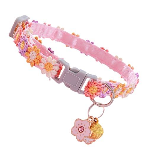 Organización y Accesorios Felinos: Todo sobre el Collar Cat Multicolor