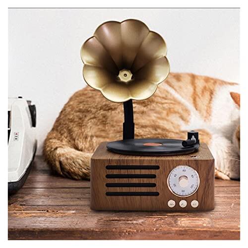 JOLIANE Radio Retro portátil Mini Radio FM Altavoz MP3 Caja de música Reproductor de Discos Vintage con Soporte de micrófono TFCard/AUX Play