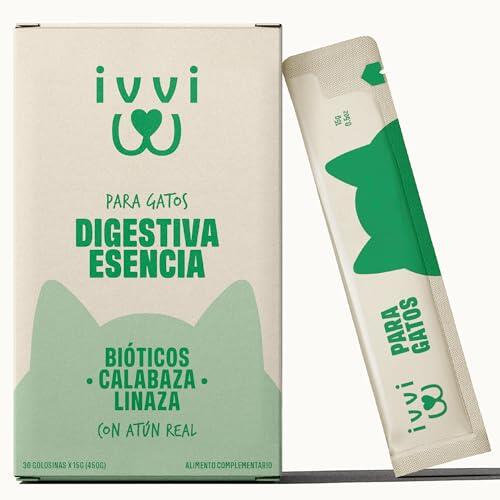 Clave para la salud felina: ivvi Esencia Digestiva y su impacto en la flora intestinal