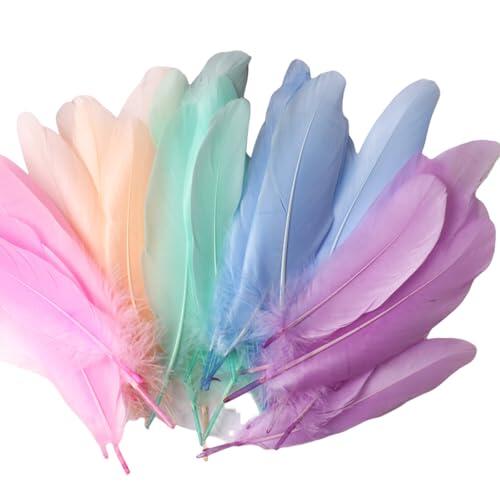 100 Piezas De Manualidades Coloridas Naturales Para Manualidades Artesanales Carnavales Halloween Boda Pluma Colorida