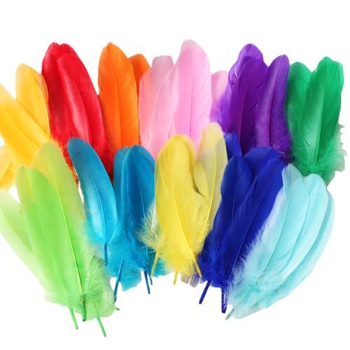 100 Piezas De Manualidades Coloridas Naturales Para Manualidades Artesanales Carnavales Halloween Boda Pluma Colorida
