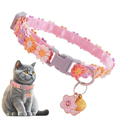 Guía práctica para elegir el collar separable ideal para tu gato