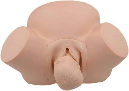 Simulador de entrenamiento de modelo de parto, modelo de entrenamiento de partería multifunción Maniquí de parto de obstetricia y ginecología para entrenamiento médico de enfermería