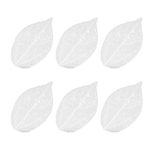 MAGICLULU 6 Piezas de Hojas Secas de Color Claro para Manualidades DIY y Álbumes, Material Decorativo Multifunción Hojas de Árbol Reales