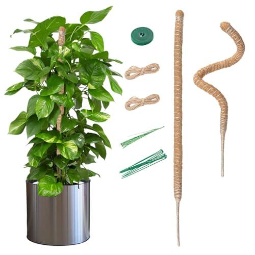 Guía completa sobre los tutores de fibra de coco Mcbazel de 70 cm para plantas trepadoras