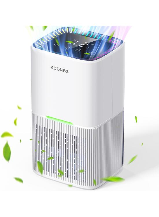 Análisis Detallado: Deshumidificador Eléctrico de KCONBS