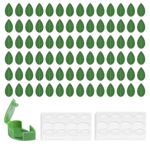 Guía definitiva para organizar plantas trepadoras y cables en casa