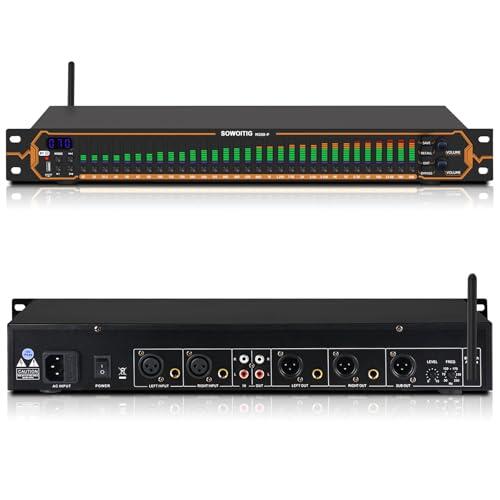 Ecualizador para Sistemas de Audio estéreo domésticos, Ecualizador gráfico Profesional de 31 Bandas, de Estudio Digital con Pantalla de analizador de Espectro y reducción de Ruido
