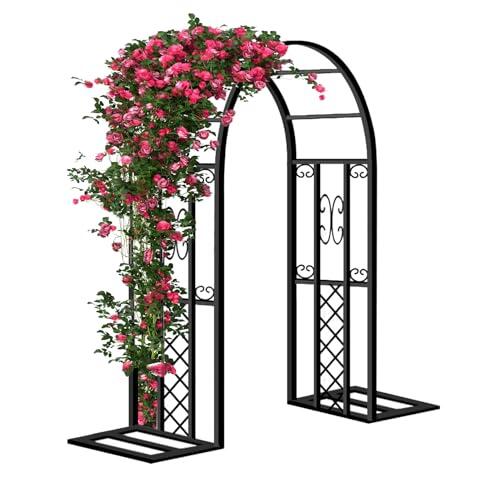 Transforma tu jardín: Guía completa sobre el arco metálico para plantas trepadoras