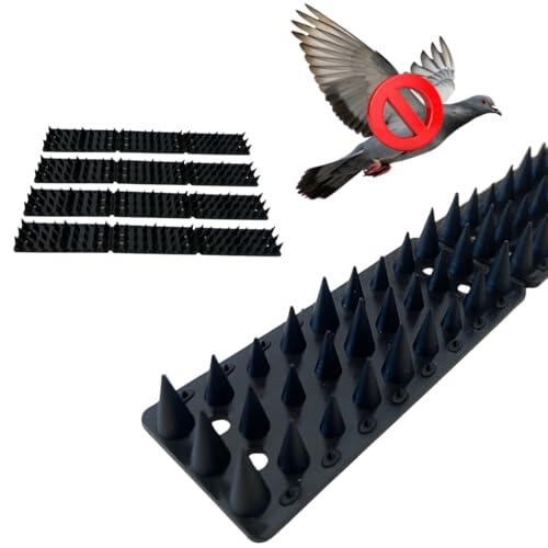Guía definitiva para proteger tu hogar de las aves sin causarles daños