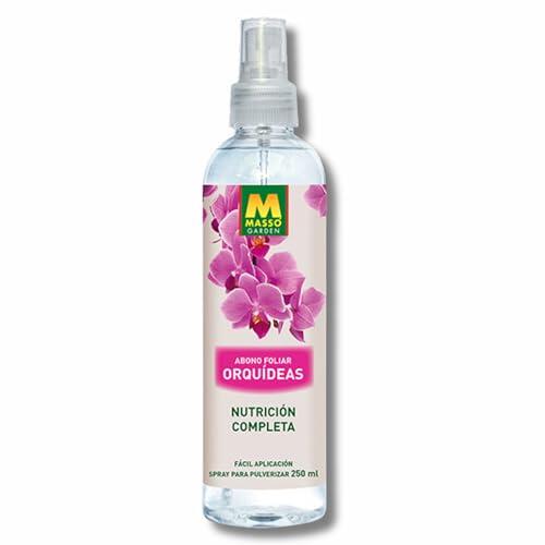 Secretos para el Cuidado Profesional de las Orquídeas en Casa