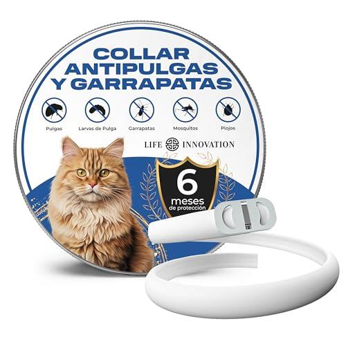 Protección Felina Duradera: Análisis del Collar Antiparasitario Life Innovation