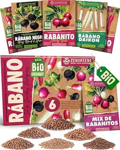 ZenGreens® Set de Semillas de Rábano eco - 6 variedades antiguas | cosecha rápida, sabroso & crujiente, idea de regalo para jardineros