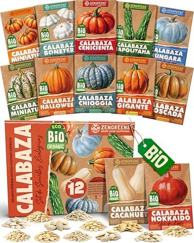 ZenGreens® Set de Semillas de Calabaza eco - 12 variedades antiguas | para cocina & decoración, formas & colores variados, idea de regalo para jardineros