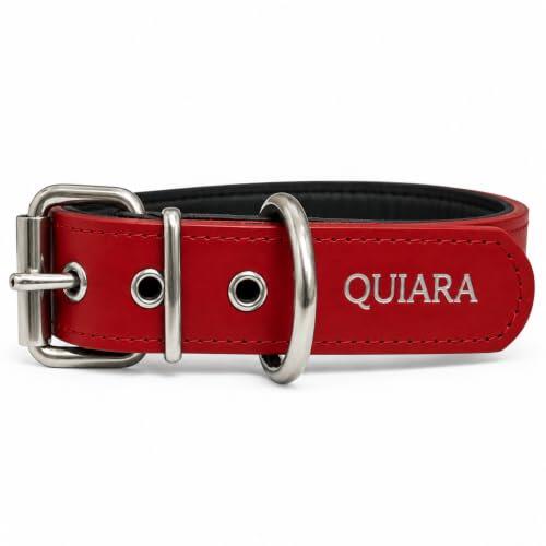 Guía Definitiva: Cómo Elegir el Collar de Cuero Perfecto para tu Perro