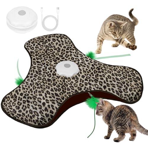Cómo Mantener a tu Gato Activo y Estimulado en Casa
