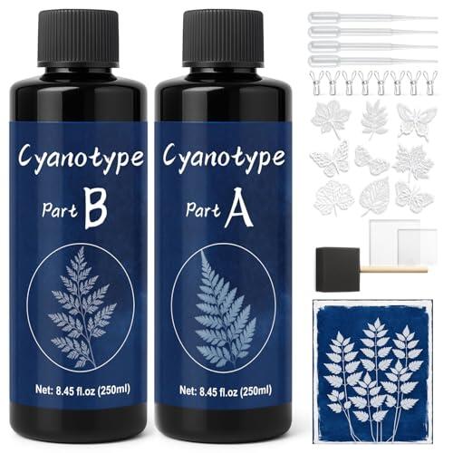 1DFAUL Kit de solución de cianotipo, 16,9 oz líquido premezclado, no requiere agua, impresión solar, creación de arte azul vintage, planos fotográficos, para proyectos de arte DIY