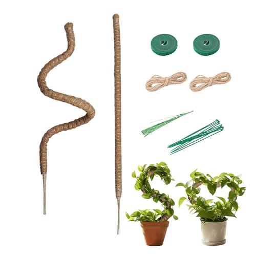 Guía Completa sobre los Tutores de Fibra de Coco para Plantas Trepadoras