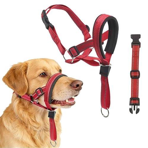 Guía Completa sobre el Collar Ronzal LUFFLOK para Perros Grandes