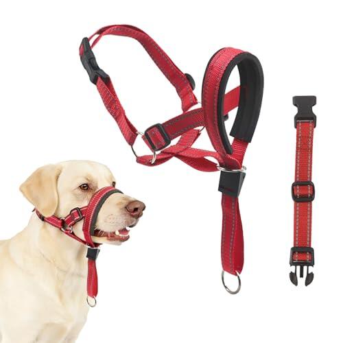 Guía completa del collar ronzal LUFFLOK para perros grandes: control y comodidad