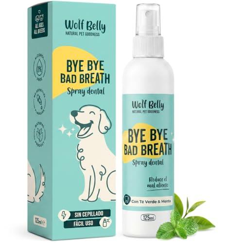 Cómo Mantener el Aliento de tu Perro o Gato Fresco y su Boca Sana Cada Día