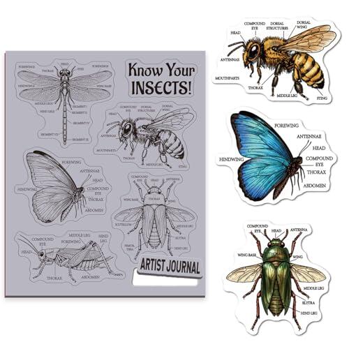 GLOBLELAND Sello de goma vintage Atlas de insectos de 8.7 x 7 pulgadas, ilustración entomológica, sello de goma EVA, sello de mariposa, libélula para hacer tarjetas, decoración de álbumes de fotos
