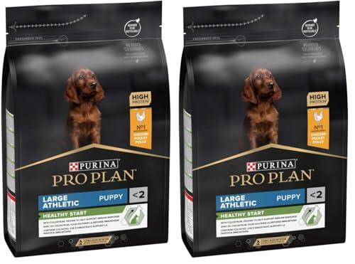 Nutrición Especializada para Cachorros de Razas Grandes y Atléticas