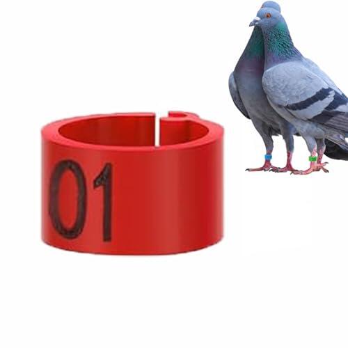 Guía definitiva para la identificación aviar: Anillos de clip de 8 mm