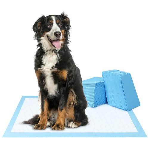 Análisis y características de las almohadillas de entrenamiento QWORK para mascotas
