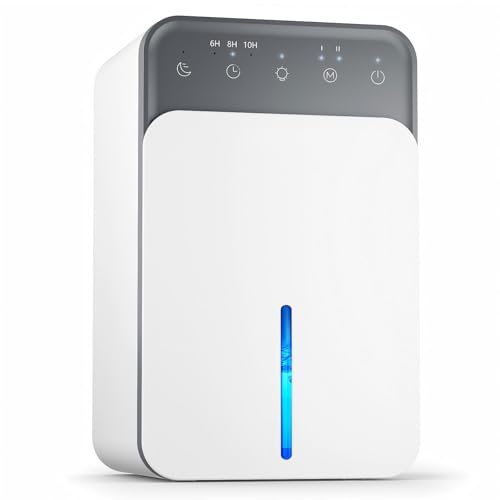 Control de Humedad en Casa: Eficiencia y Silencio al Detalle