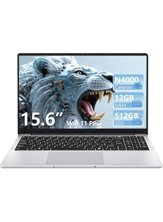 15.6 Pulgadas Ordenador Portatil, Win 11 PC Portátil Celeron N4000 CPU, Portátil con 12GB LPDDR4 512GB SSD, 1920*1080 IPS FHD Pantalla Laptop, TF Card Slot expansión hasta 1 TB, Mini HDMI+BT4.2