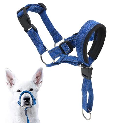 Soluciones de adiestramiento canino: análisis del collar y bozal TENGWA