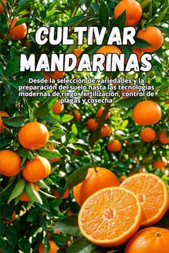 El arte y la ciencia de cultivar mandarinas en casa y a escala profesional