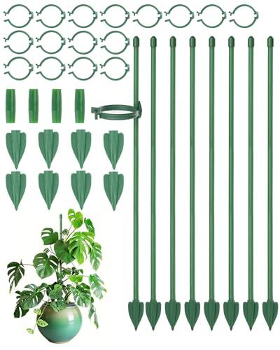 Guía definitiva para el soporte de plantas trepadoras con tutores extensibles