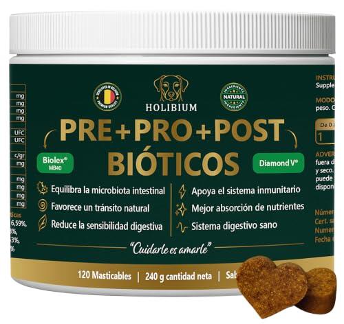 Guía Definitiva sobre Probióticos para Perros: Salud Digestiva y Bienestar