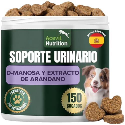 Cómo cuidar la salud urinaria de tu perro de forma natural
