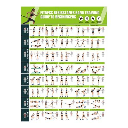 Póster de entrenamiento para gimnasio en casa – 42,8 x 57,4 cm guía de fitness ilustrada, tabla de ejercicios de cuerpo completo para musculación, estiramiento, yoga y banda de resistencia, decoración